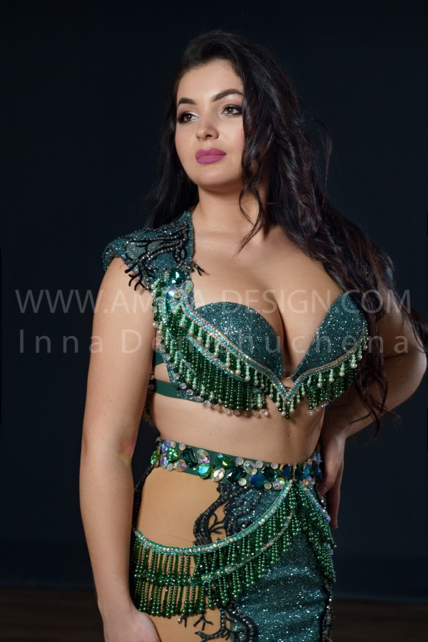 Professional bellydance costume (classic 224a)